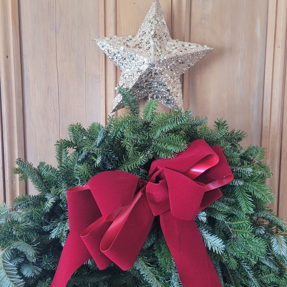 Pier 1 Holiday Wreath with Red Bow and Gold Star